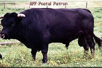 RFF Postal Patron